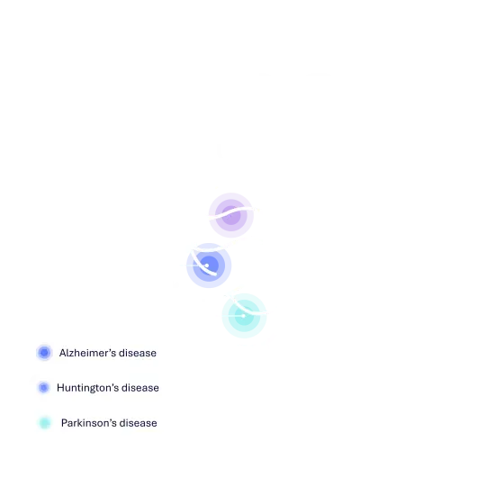 Brain Regions Dark Back Bold